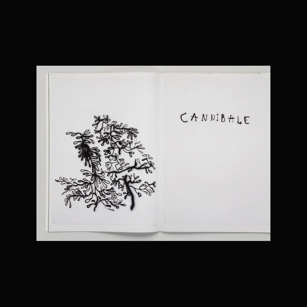 Edition Patrick Frey | Annelise Coste – Poemabout