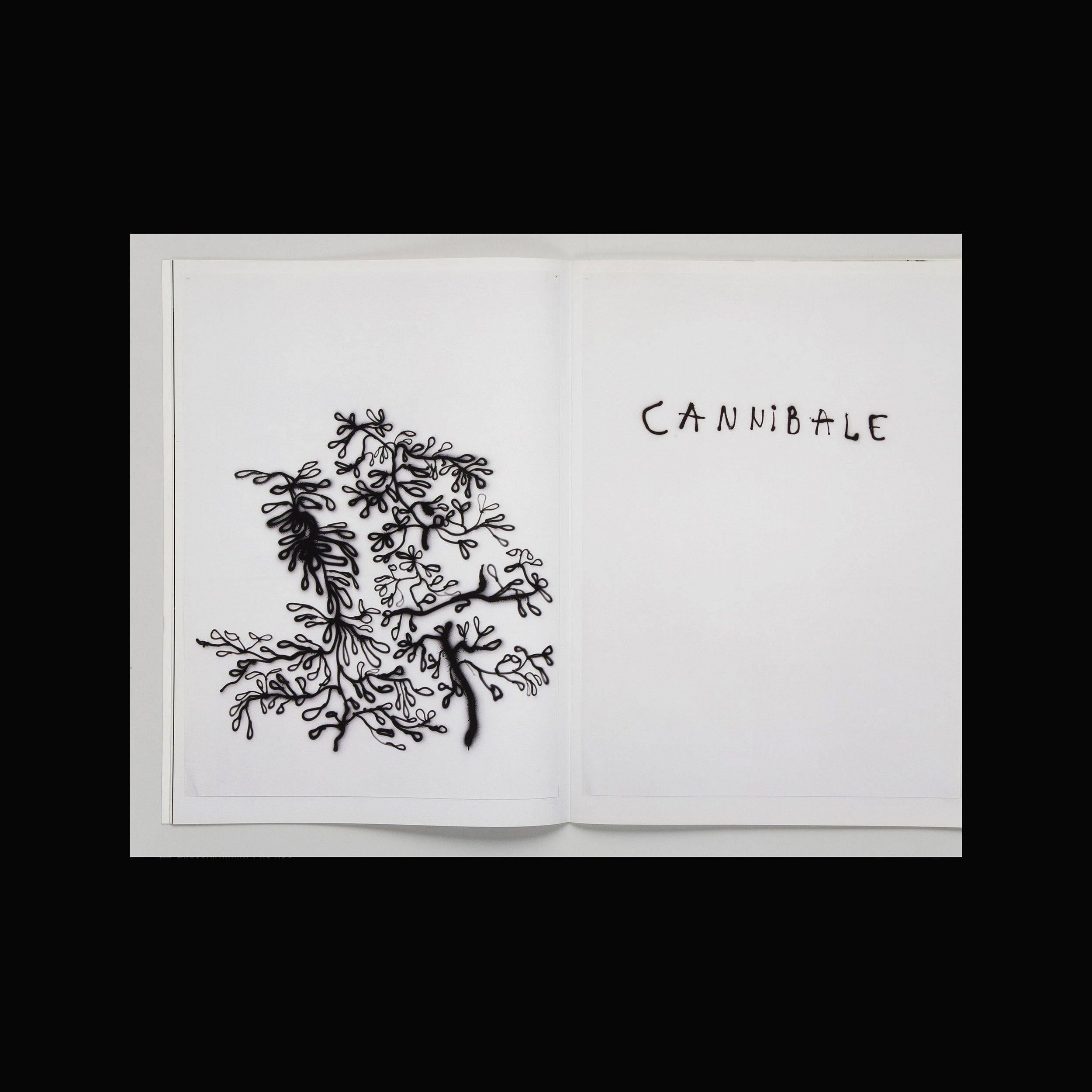 Edition Patrick Frey | Annelise Coste – Poemabout