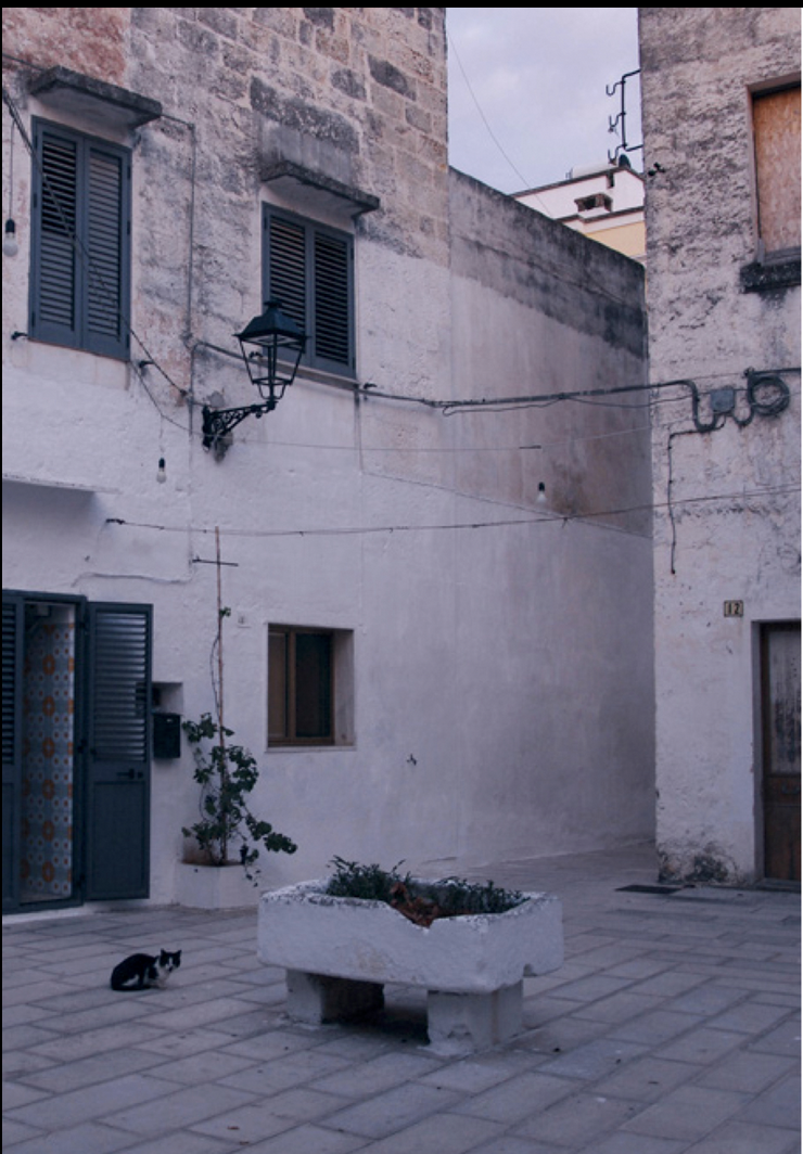 Flee Project – FLEE002 – Tarantismo – LP & Book