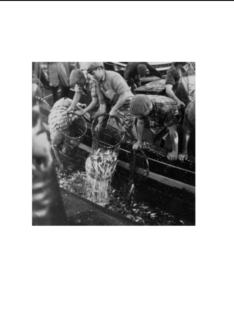 Flee Project –FLEE004 – Leva Leva – Ladainha de pescadores – LP & Book